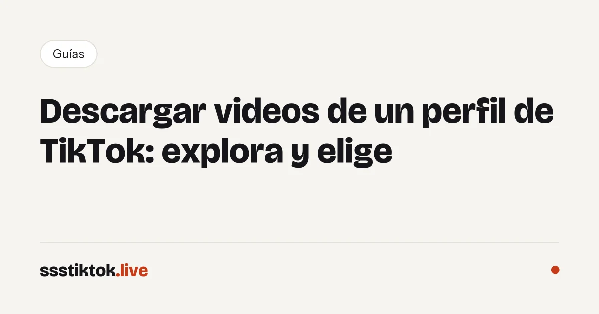 Descargar videos de un perfil de TikTok: explora y elige